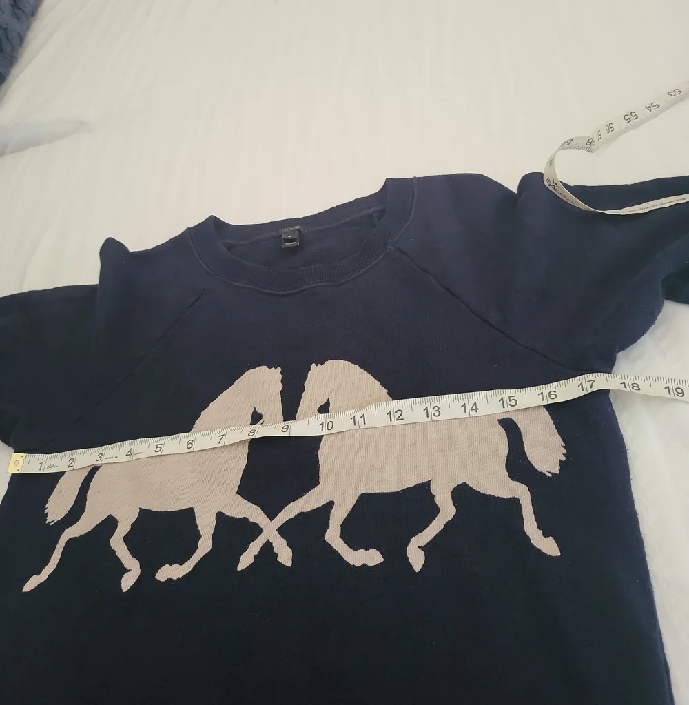 J.Crew Navy Blue Horsing Around Print Sweatshirt Sz S